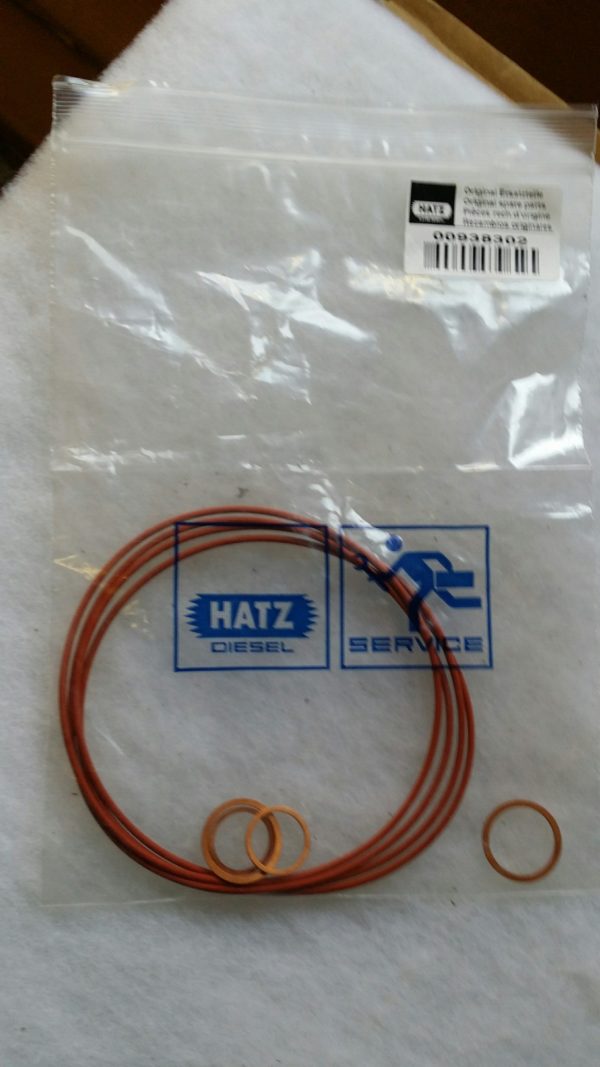Pochette de joints Hatz 00938302